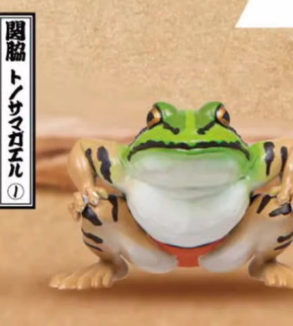 Japan Qualia Gashapon Capsule Toy Frog Wrestler Figures Sumo Frog Model Doll Ornament Desktop Decoratoion Childern Gifts