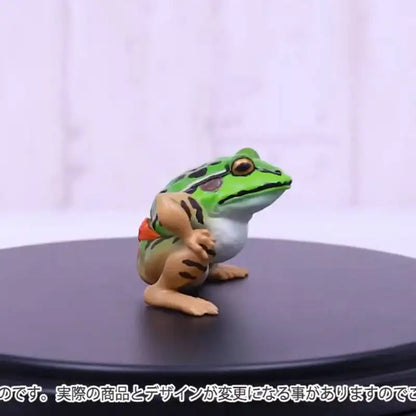 Japan Qualia Gashapon Capsule Toy Frog Wrestler Figures Sumo Frog Model Doll Ornament Desktop Decoratoion Childern Gifts