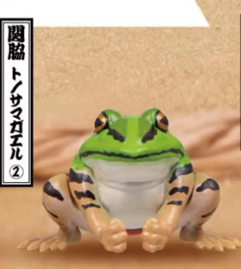 Japan Qualia Gashapon Capsule Toy Frog Wrestler Figures Sumo Frog Model Doll Ornament Desktop Decoratoion Childern Gifts